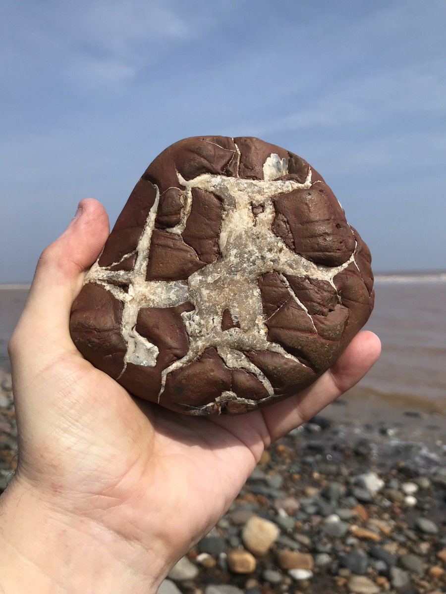PoetDeanwilson6's tweet photo. Pebble Of The Day #995
#Withernsea https://t.co/pnUOhihyLN
