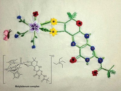 Chemistry Daily Dose tweet media