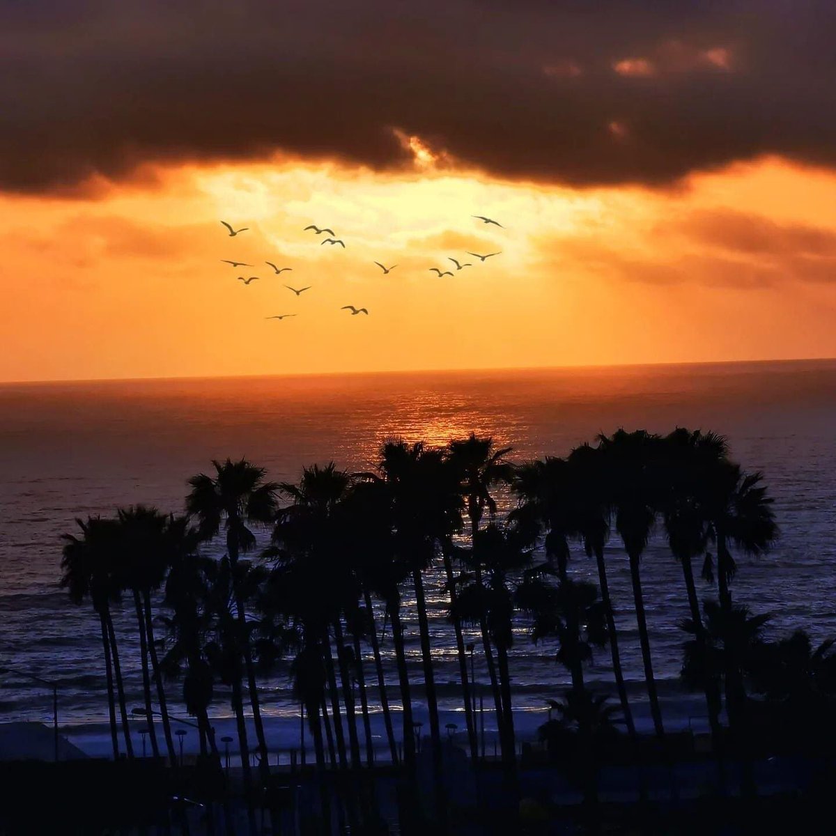 Tijuana B.C. tweet media