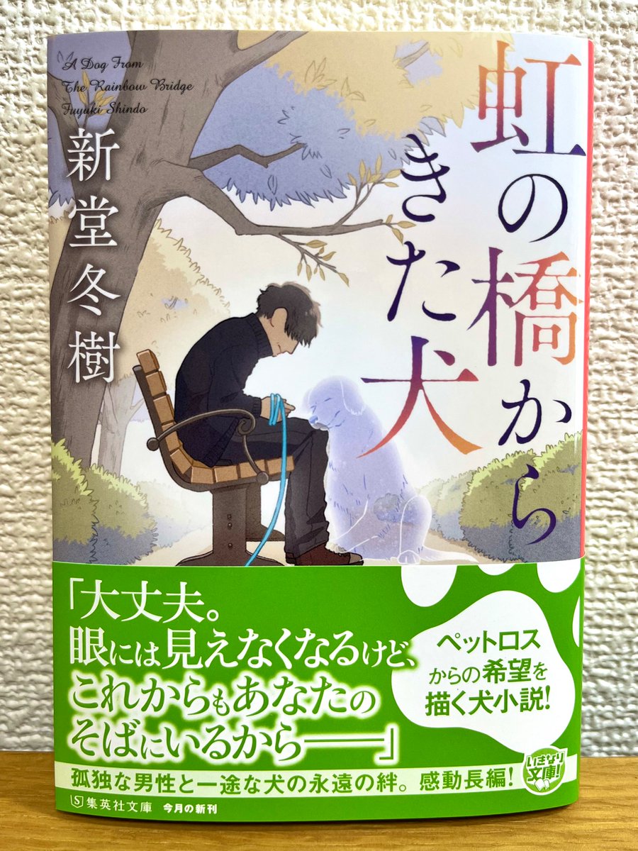 「カバーイラストを担当させていただきました、小説家新堂冬樹様の『虹の橋からきた犬』」|526△初画集「世界でいちばん何でもない日」発売中のイラスト