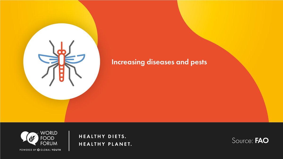 Agri-#FoodSystems are contributing to, and affected by the impacts of #ClimateChange, ecosystem degradation and biodiversity loss.

Learn how #Youth are taking action here: world-food-forum.org