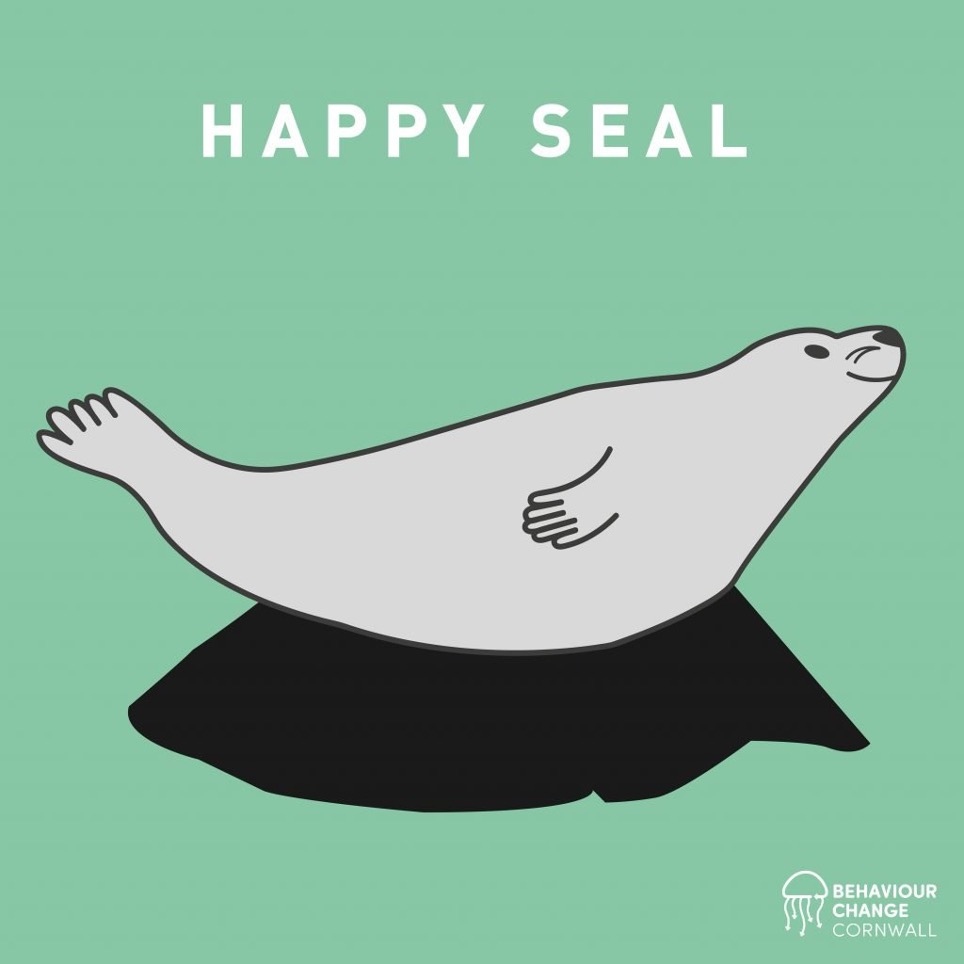 This is how a seal should look when hauled on land. It's relaxed, resting to save energy and to save up food reserves needed for breeding season.

To find out more: behaviourchangecornwall.co.uk/give-seals-spa…

@behaviourchangecornwall @looeMCG #givesealsspace #keepyourdistance #watchingsealswell