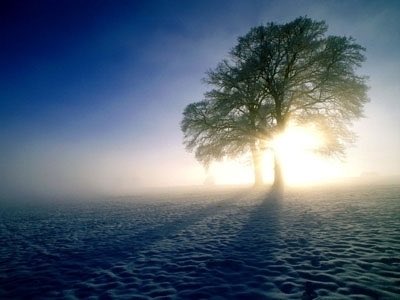 Arpaheni's tweet photo. En él se redimen todos los pecados, 
el árbol caído devuelve su flor,
oh, santa mañana de resurrección.

#Laudes 
#Liturgiadelashoras 
#BuenosDias 
#FelicesPascuas https://t.co/l0Tcf7CMmx