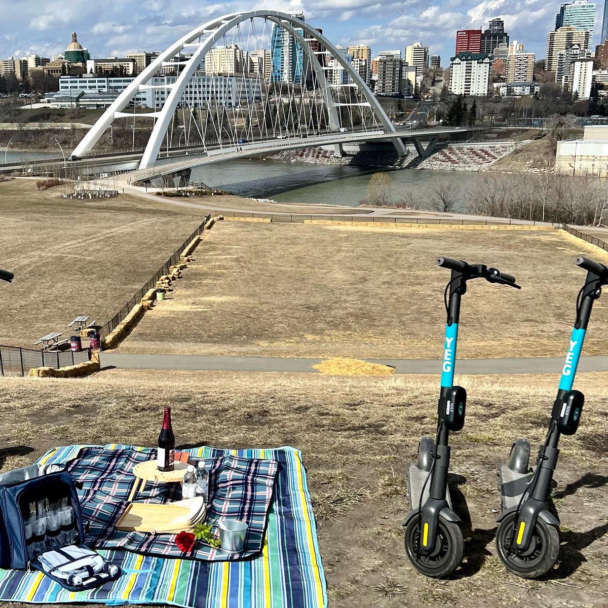 YEG scoot tweet media
