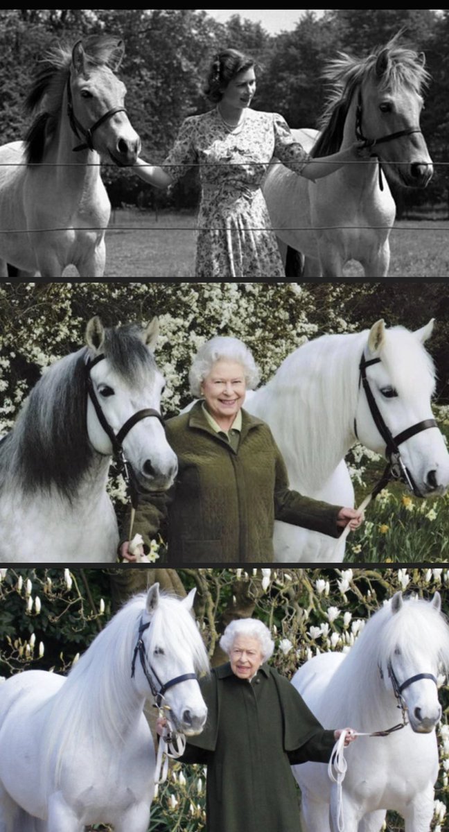 The Royal Crown tweet media