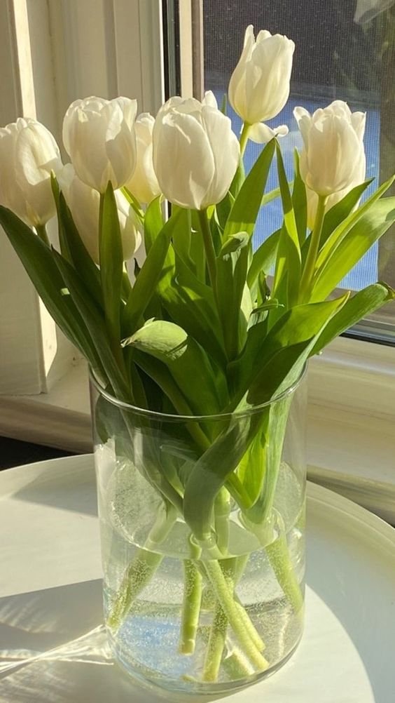 etherealdior's tweet photo. everyone deserves flowers https://t.co/bRm6aJxmkE