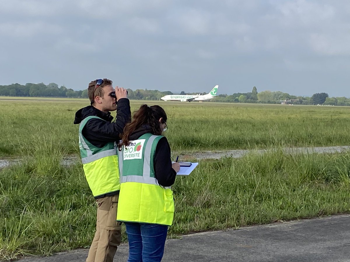 HélèneAbraham tweet media