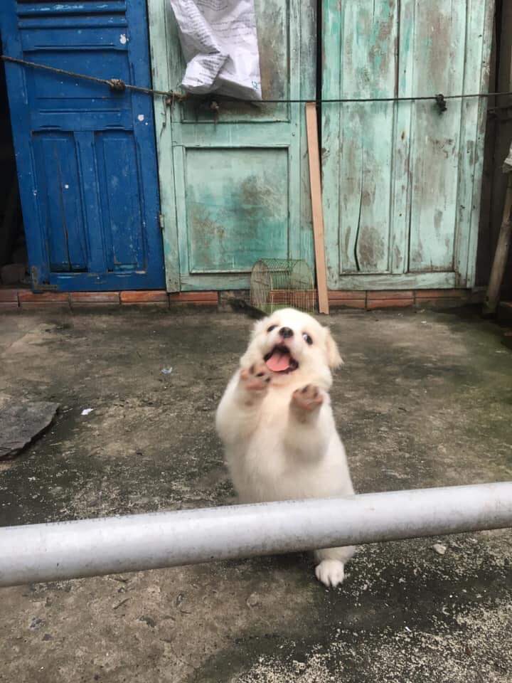 kopeul's tweet photo. 쥬인님 구햐요 여자임
기구있어야하고
자취해야하고
차있어야함
시오후키도 가능해야함..ㅜㅜㅜ 나 시오후키 잘하는 남자가 죻음..
1~2시정더애 연락드림 만나자
부천임
#색트 #가슴 #인천 #경기도 #서울 #섹트 #비떱 #시오후키 #용인 #변녀 #선착 #서울 #오프 #기구플 https://t.co/PDQGjXZqCa