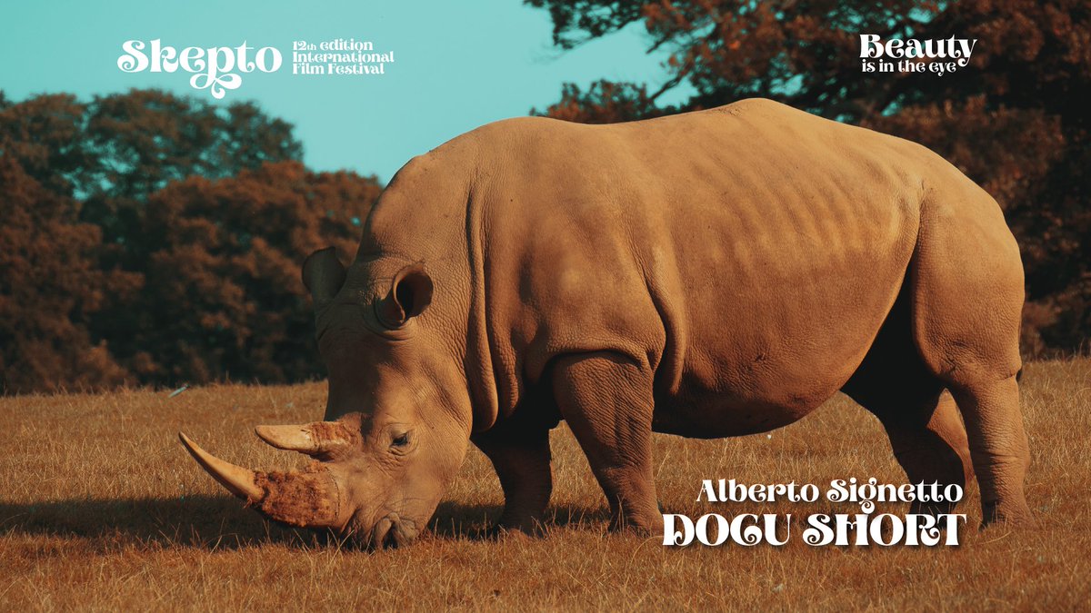 skeptofilmfest's tweet photo. 📽🎞 I sei docushort selezionati per il "Premio Speciale Alberto Signetto" sono in programma tra mezz'ora! 🦏🎆

📌Ore 17.15 - Sala M2

🎫 Ingresso Gratuito

#SkeptoXII #Cagliari https://t.co/KCNPhRTvF1