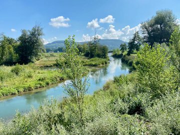 STMediaCH's tweet photo. Amazonien liegt im #Aargau! 
Die Rheinaue "Chly Rhy" bei Rietheim ist mit fast 40 Hektaren Fläche das grösste Auengebiet am Hochrhein zwischen Basel und Bodensee!
Themenweg mit Aussichtstürmen! 
@aargautourismus @BadZurzach  @pronaturach
https://t.co/cnwudGa0VO https://t.co/MJOzNwz7yZ