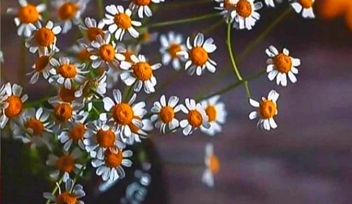 Günaydın ❤
Güneşli ve mutlu günler dileriz 😊