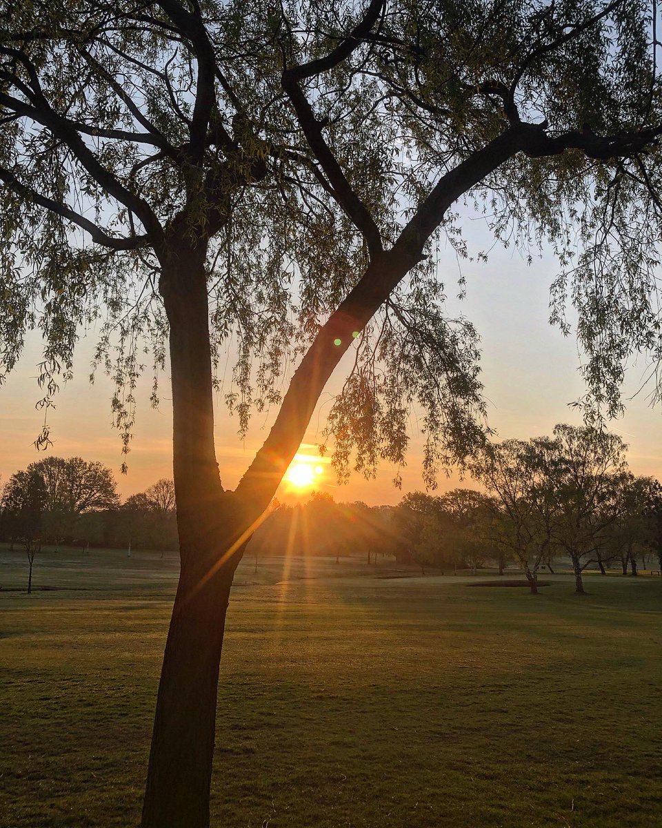 Miles_gkeeper's tweet photo. Good morning ☀️ a few lovely pics while I was mowing greens on our excellent @thetorocompany tri-flex. #toro #sunrise #ashfordkentgolfclub #greenkeepers #golf #lookinggoood https://t.co/I5hBPdle4g