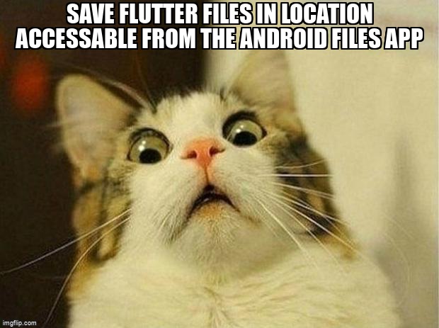 overflow_meme's tweet image. Save flutter files in location accessable from the android files app stackoverflow.com/questions/7190… #flutter #android #filesystems