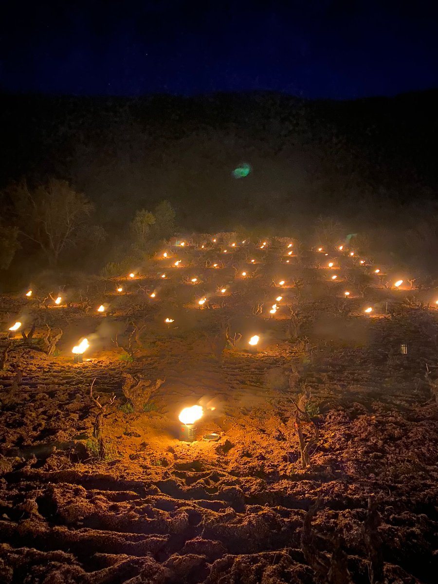Quizás no se valora suficientemente el trabajo de llevar a tu copa un vino de calidad, quizás... ❄️🔥🍷
📸 <a href="/RicoNuevoVinos/">Rico Nuevo Viticultores</a> 💪🏽
#DOPCebreros #SierradeGredos #Ávila #garnacha
