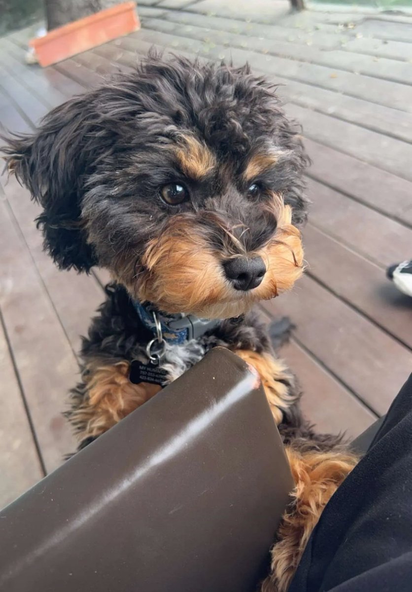 Pabixiao's tweet photo. What makes                Dis baby did 
 ur day better? https://t.co/j5fhybFGKC