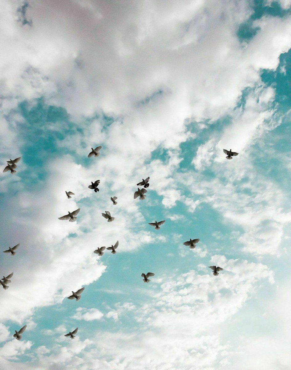 أروي اللَّهُم قُلوبنا بسلسبيل ودك ، وإسقي أرواحنا بغيث مغفرتك ..

                   صباح الفل 🌺💙