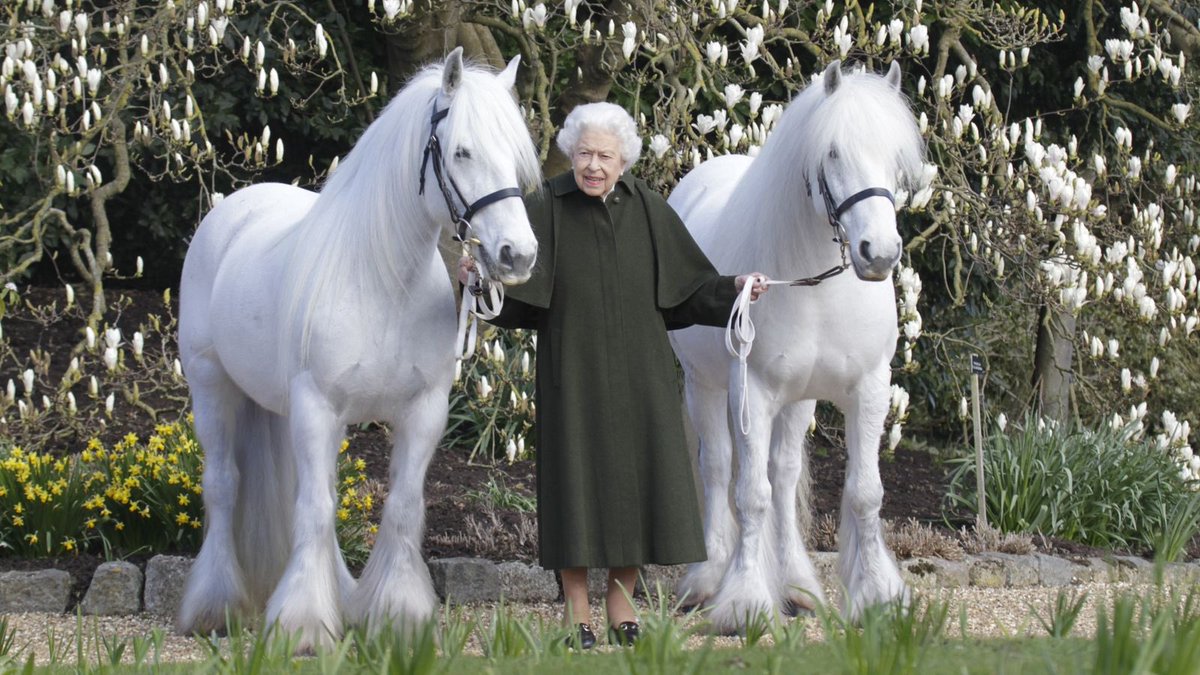 NottmGangShow's tweet photo. Wishing our Patron, HM The Queen, a very happy 96th birthday https://t.co/ta8TegabHm