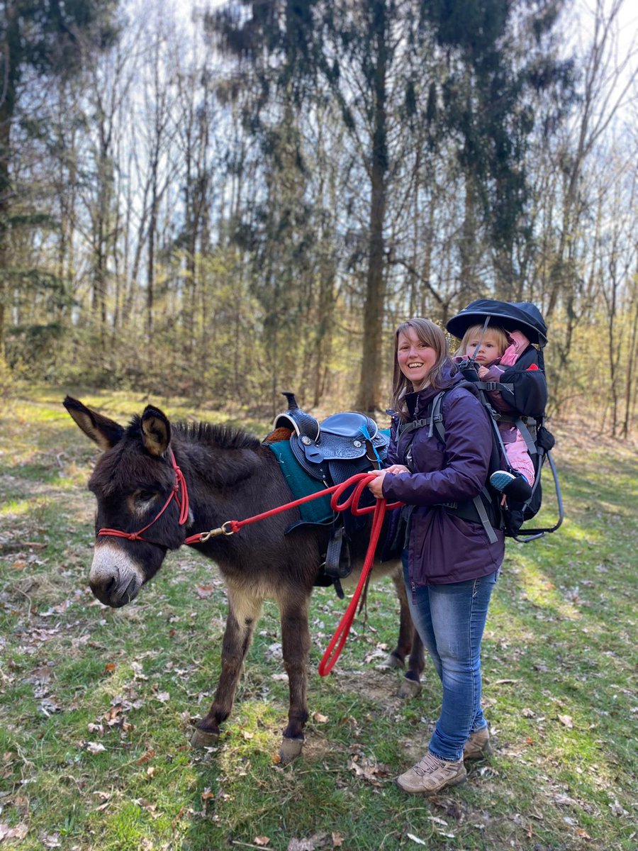SoundTalksNV's tweet photo. Hope you all had a wonderful Easter Holiday! 🥚🐇

Our #team had a blast! 
We organised a donkey Soundtalks family ride and had loads of fun. 😃👨‍👩‍👦‍👦

And our chocolate Easter eggs were delicious 🤤 and much appreciated. 

#teambuilding https://t.co/PhylO9PgbB