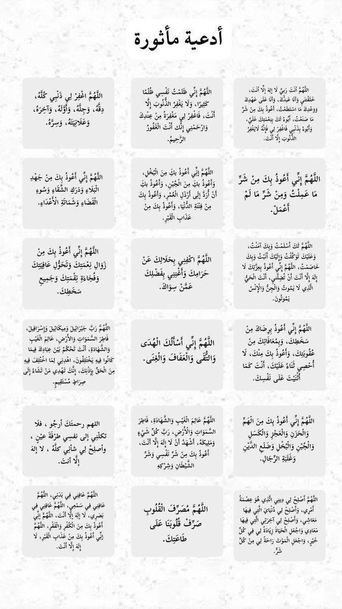 سلطان العتيبي tweet media
