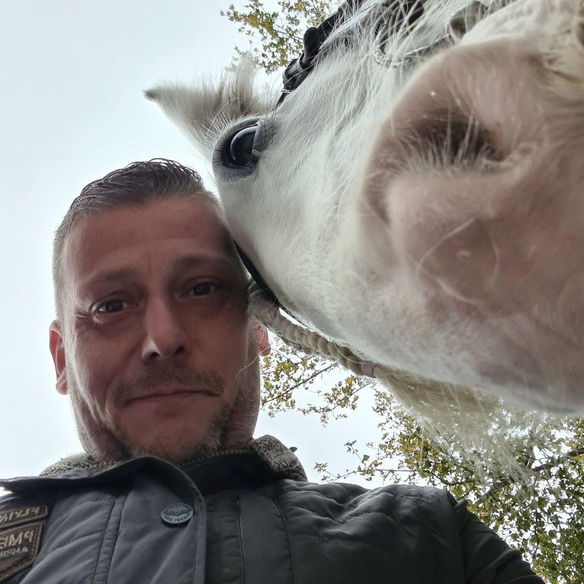 DingemansPascal's tweet image. #NieuweProfielfoto
