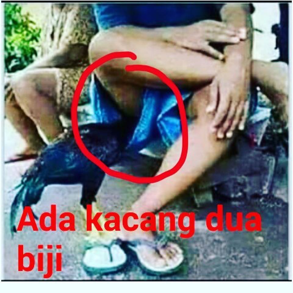 EnggrinD's tweet photo. @jowoshitpost https://t.co/wY5mad8OWd