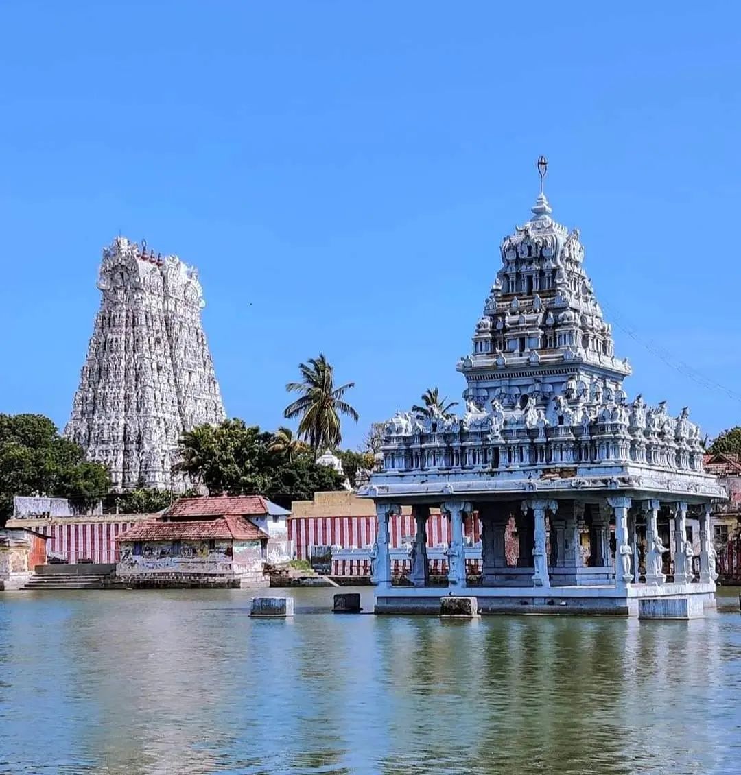 nagercoil_town's tweet photo. #Suchindrum Temple
👉 https://t.co/QVAfGjNjRL https://t.co/cmxc1jI8ar