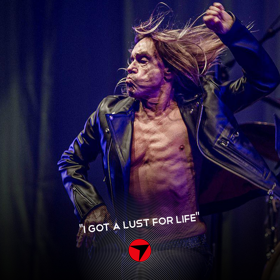 Happy birthday, Iguana Sono 75 anni oggi per il grande Iggy Pop !   