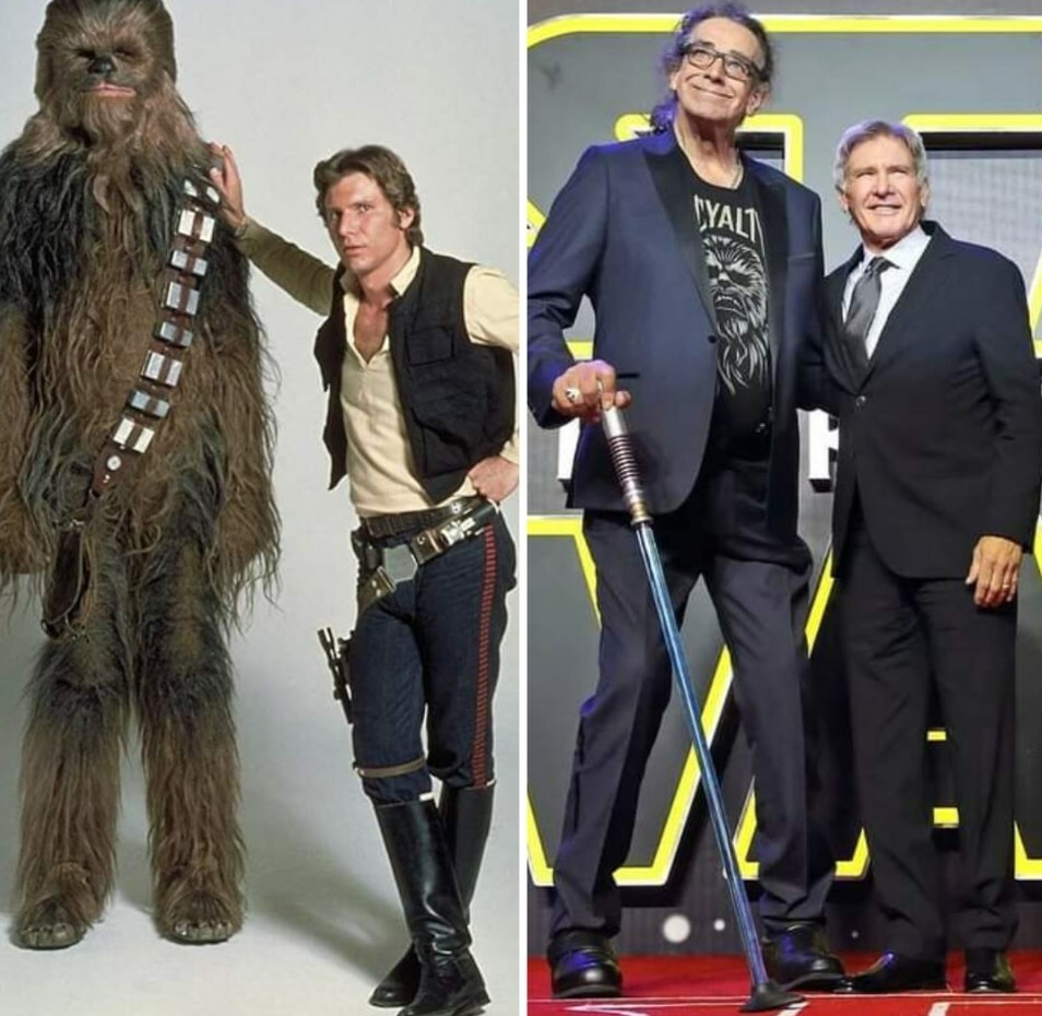 Harrison Ford (Han Solo) e Peter Mayhew (Chewbacca). https://t.co/uFO3JcXdE0 https://t.co/fclft3HOZP