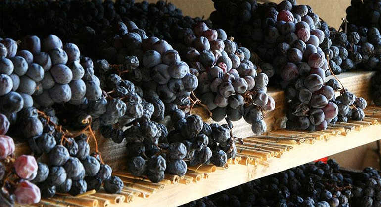 Slijtersvakblad's tweet photo. Amarone gaat voor Unesco-erkenning - https://t.co/xxXuI4nxPx– Uit de Vinitaly-beurs komt zulk aardig nieuws, dat we u ook deze niet willen onthouden: Valpolicella is bezig met de aanvraag voor Unesco-erkenning voor haar druivendroogtechniek. Je zou misschien verwachten dat de ... https://t.co/BliPLzdZoj