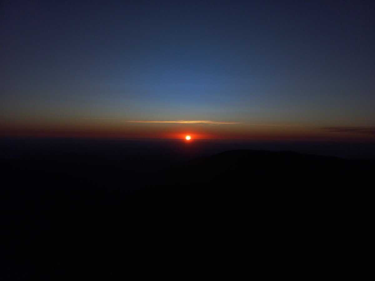 SeanAndreBlue's tweet image. 