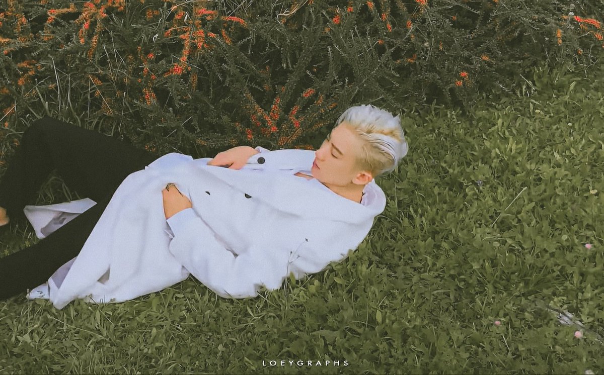 loeygraphs's tweet photo. feels like a dream🌿 #CHANYEOL #찬열 #박찬열 #엑소찬열 https://t.co/hxQpGNMycP