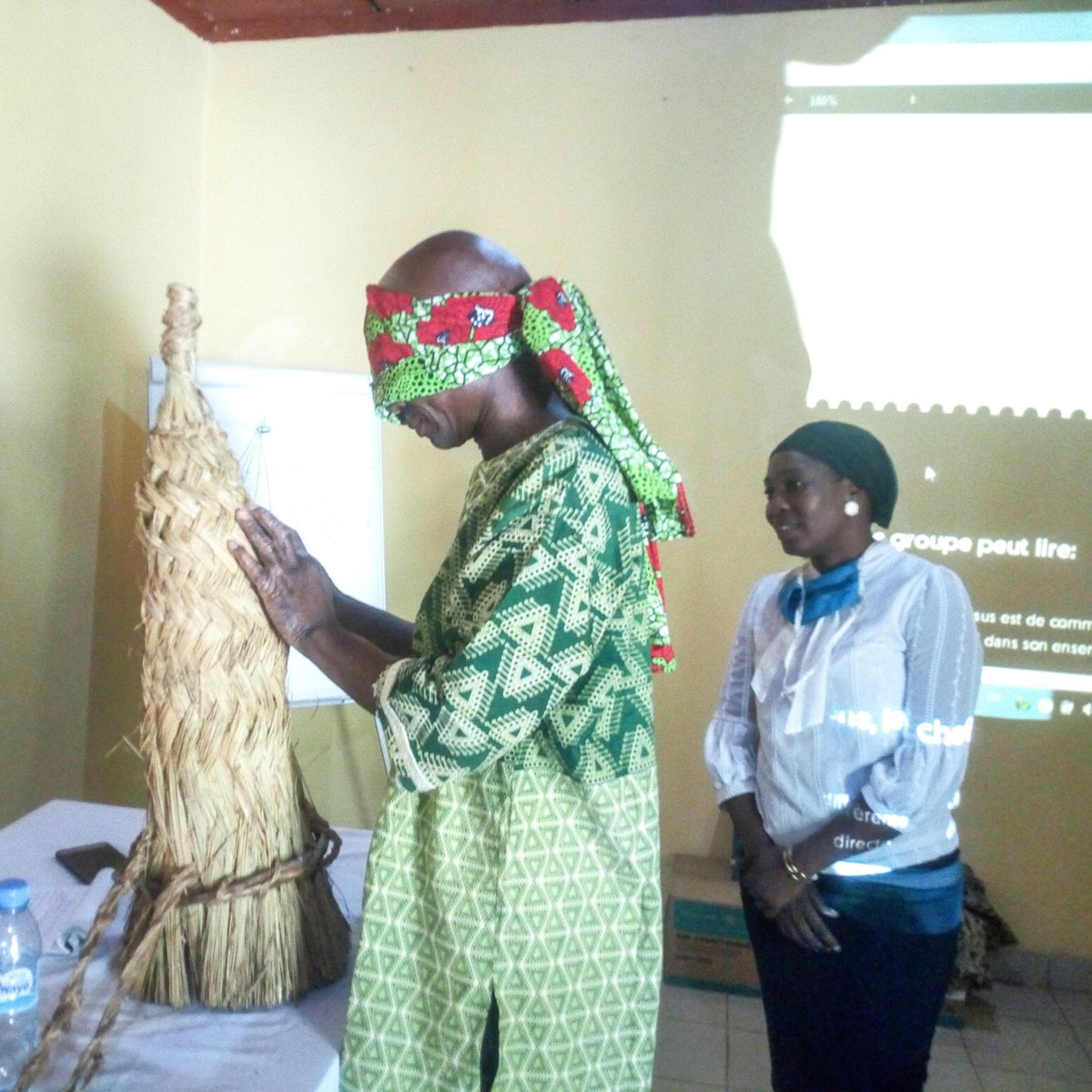 In #MFA2021 Module 2, the participating study group members engaged with the museum as a living, breathing, ever-evolving space.  

Here is the Musée National de Guinée study group taking part in a curriculum session focusing on interpretive work.

#MuseumFuturesAfrica