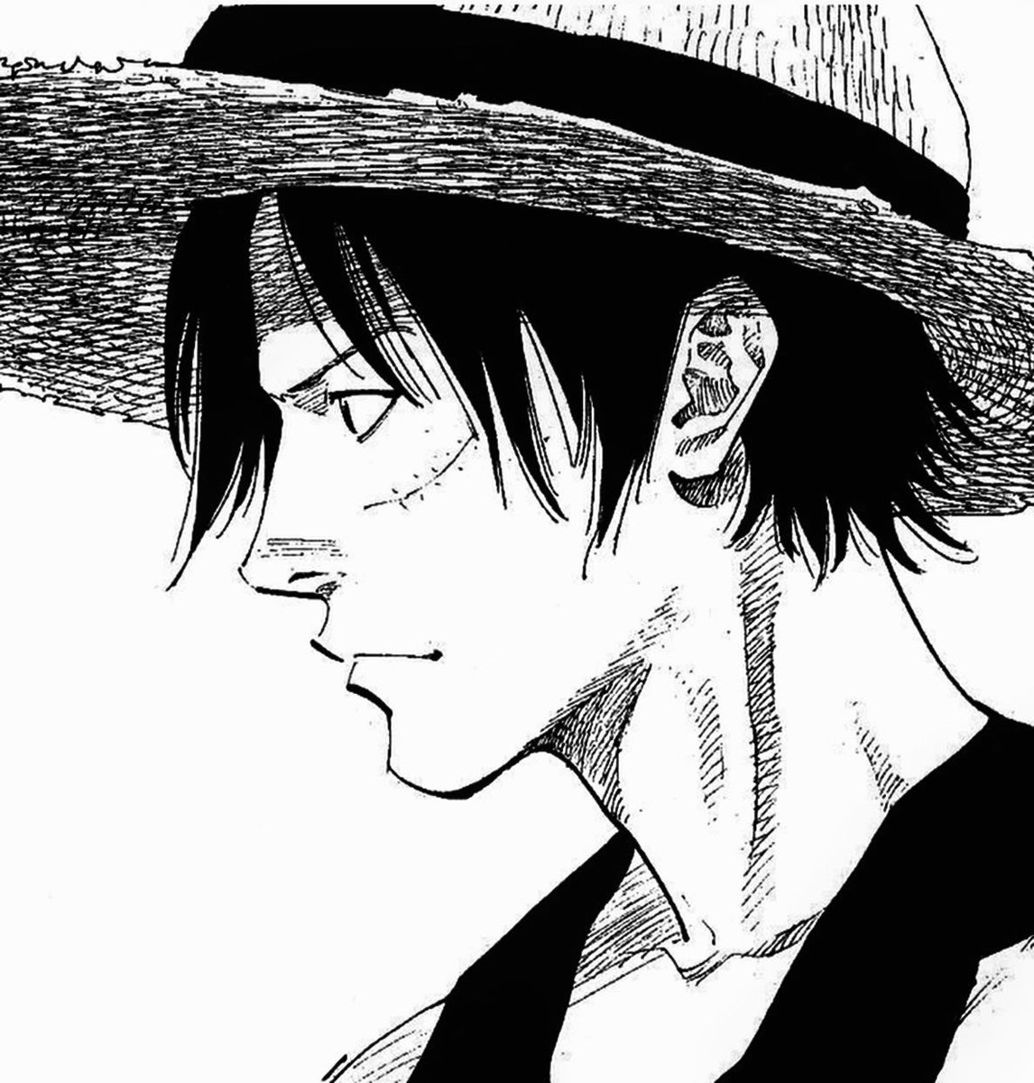 Monkey D Luffy by Takehiko Inoue and Miyamoto Musashi by Eiichiro Oda.