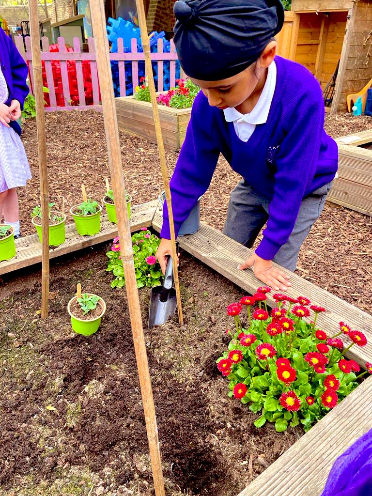 OrchardInfant's tweet photo. Did somebody say summer term?! Children in reception have been hard at work looking after the nature garden and growing vegetables! Look at the brilliant signs they have made too, “Don’t touch the radish” 🌳🌿🌸🥕 https://t.co/kyh8Cxc7E2
