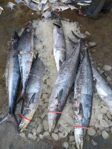 Tushar Devidayal tweet media