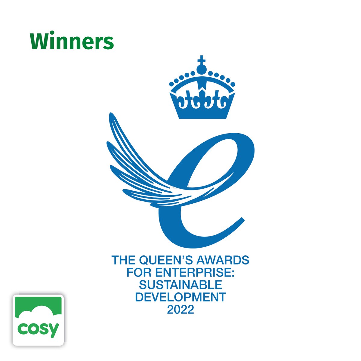 Cosy Direct tweet media