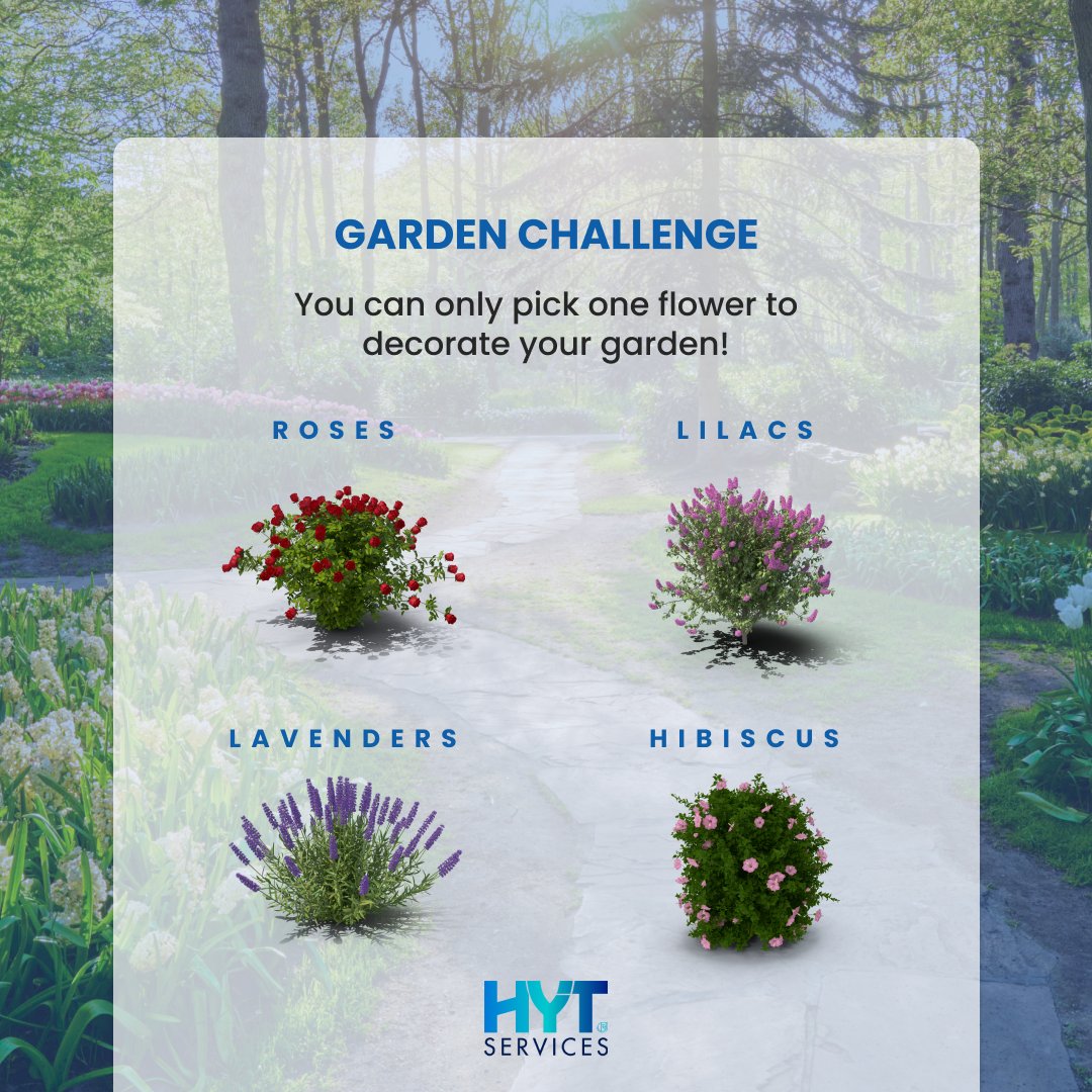 HYT Services tweet media