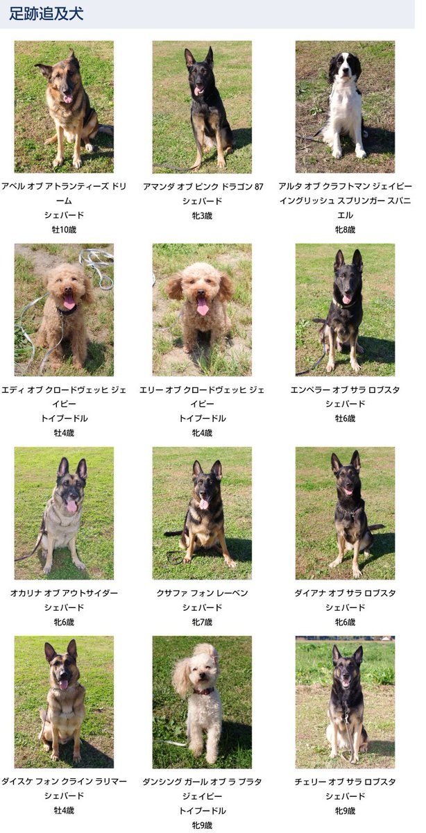 この国家権力の犬がぁ 嘱託警察犬の紹介ページはずっと眺めていられるかわいさ 見るべきは華麗な名前です Togetter