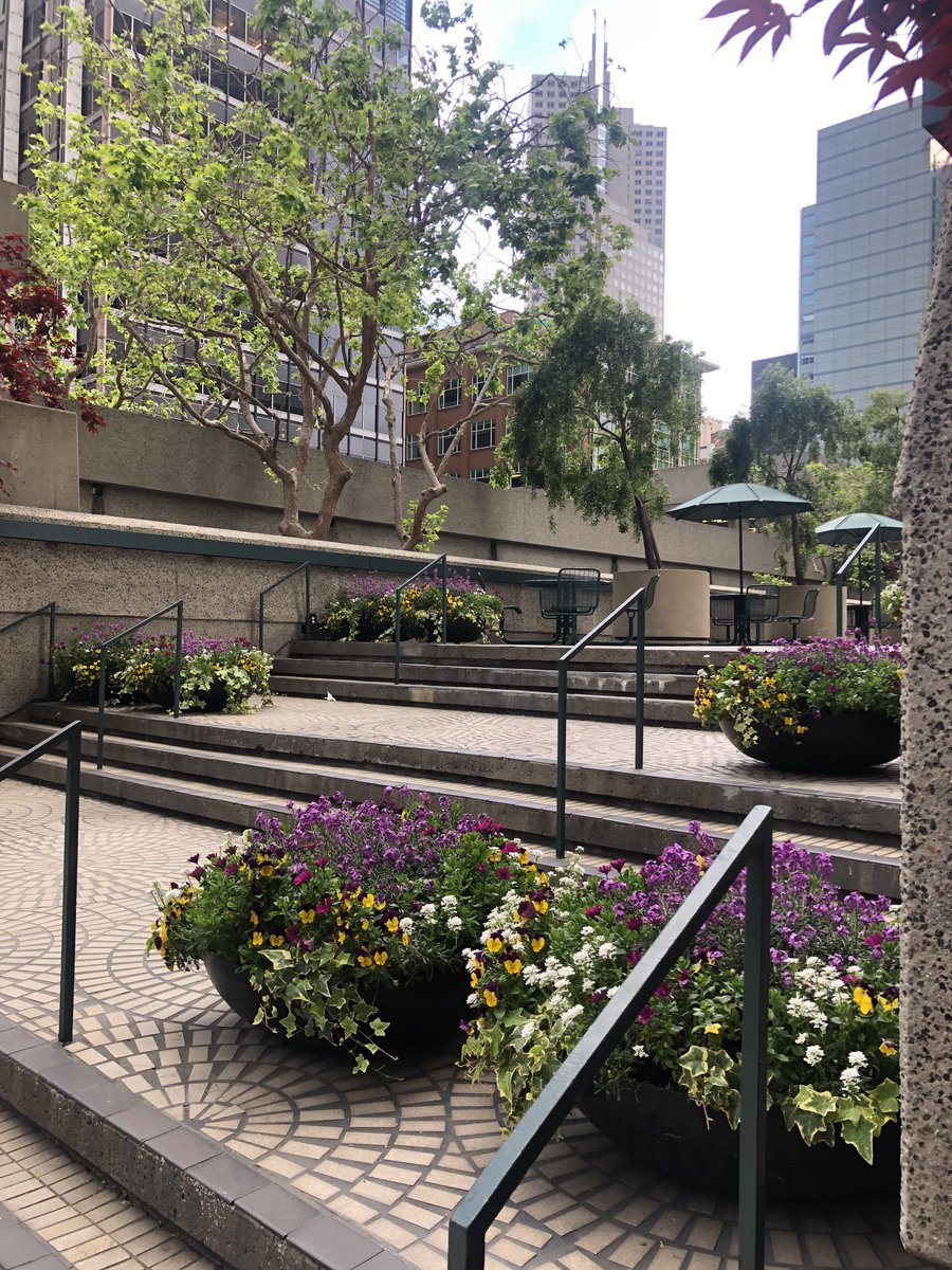 sashajol's tweet image. Spring has sprung @ #embarcaderocenter