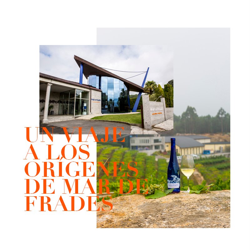 Ven a conocer el lugar donde nacen nuestros vinos más atlánticos. 

Una bodega innovadora, rodeada de su propio viñedo "Finca Valiñas", donde disfrutar de experiencias únicas y probar nuestros vinos en su lugar de origen. 

#MardeFrades #Albariño #Enoturismo #Bodegas