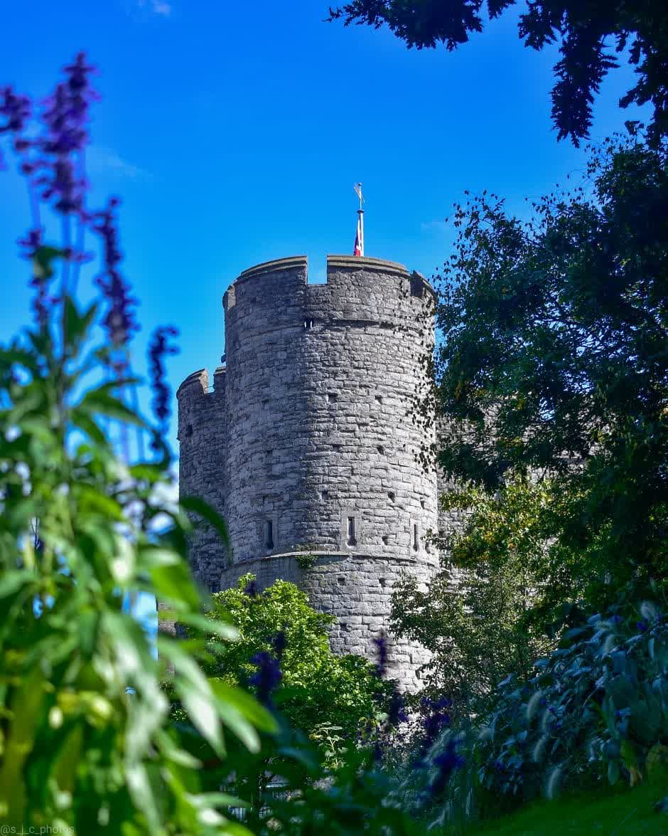 Westgate towers from Westgate Gardens #daytrip #summer #photography #Canterbury #visitcanterbury #kentdaysout #nikonphotography #nikon #d5600