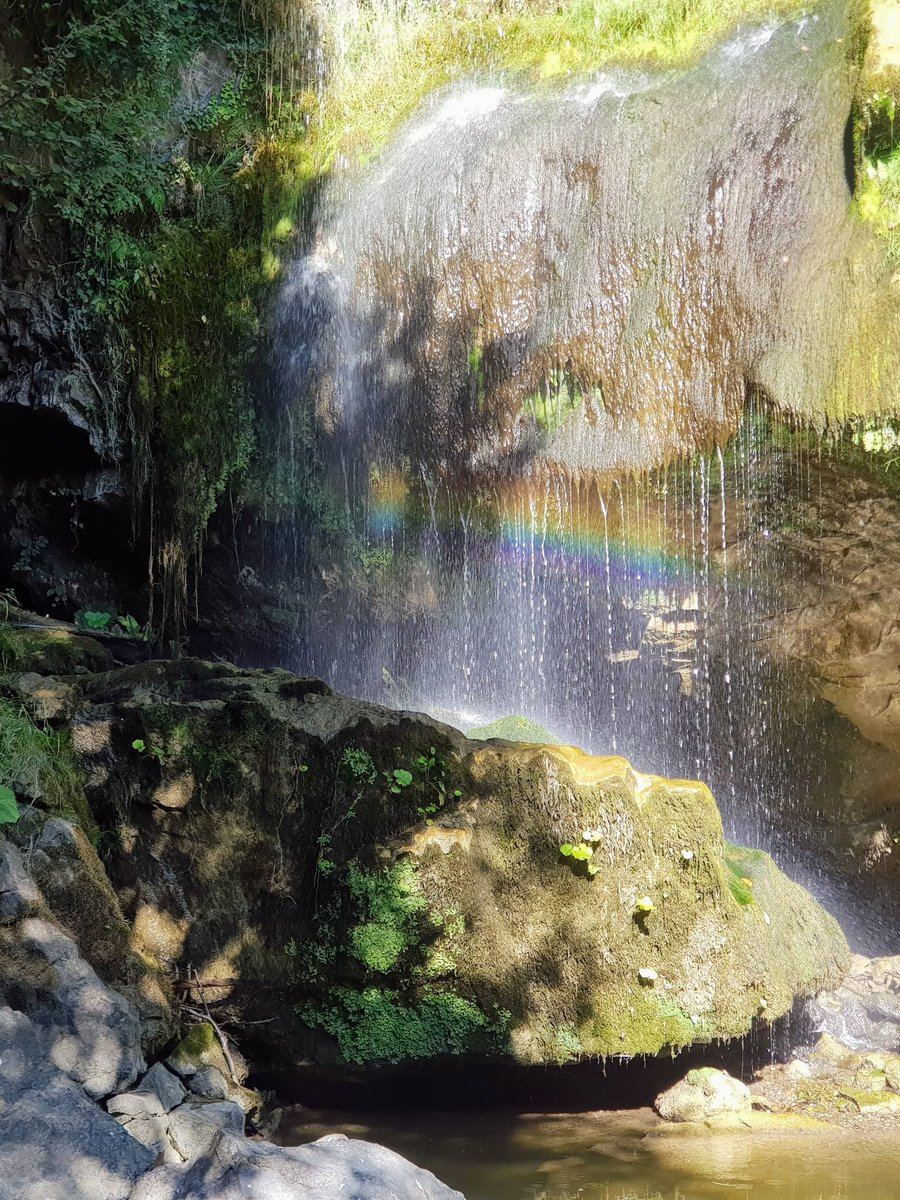 GM! I wish you all a colourful day 🌈

#NFTCommunity #NFTphotographers #nftphotography