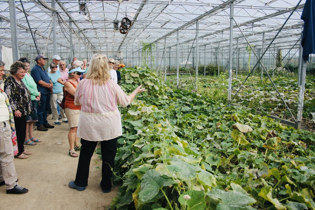 Our next seed, plant and tool swap will be on Sunday 1st May 🌼 pop along and see how things have changed so far this spring 🌞

#guernsey #growing #seeds #seedswap #plants #plantlife #edible  #edibleguernsey