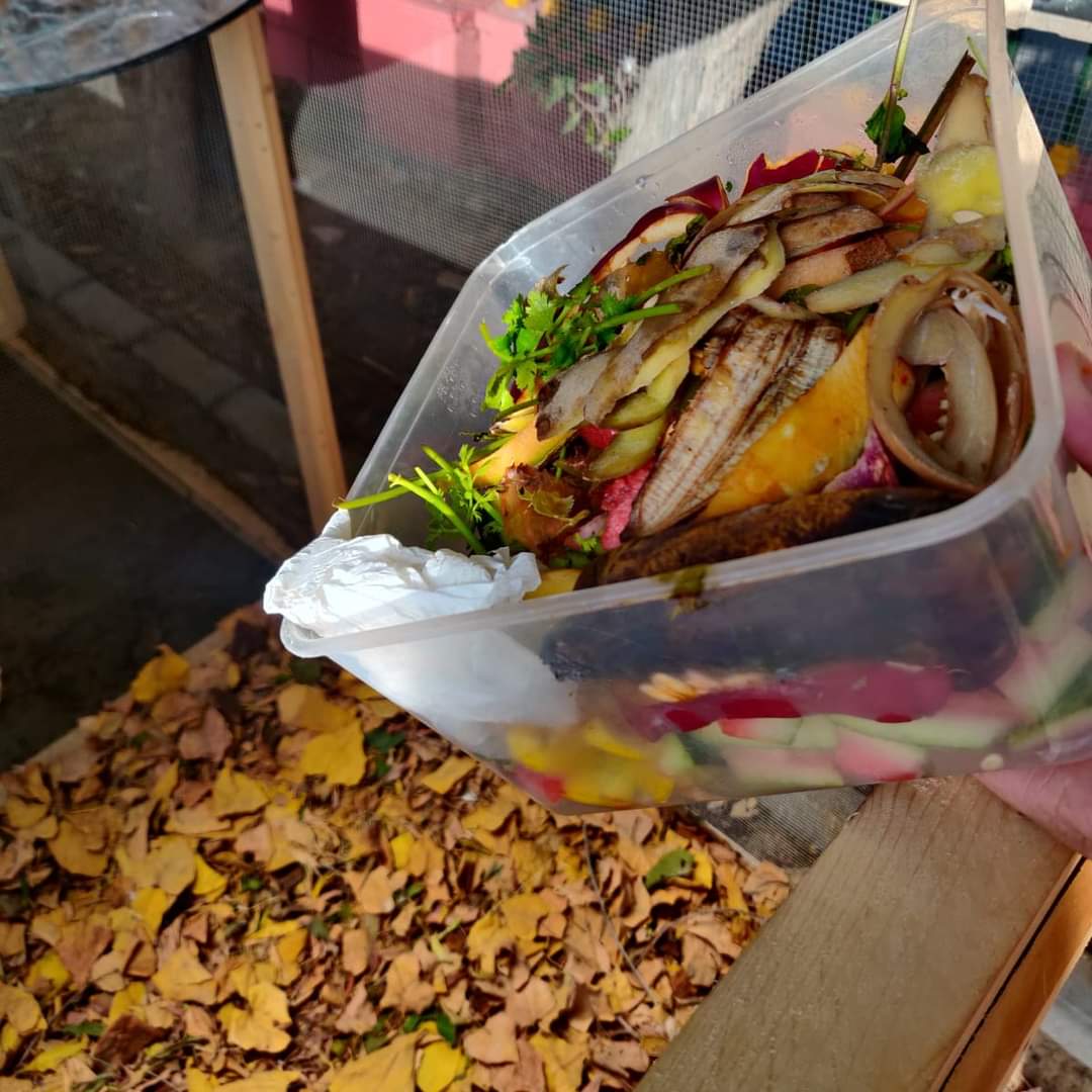 GermanyinKHI's tweet photo. • • • repost from 🌼@trashitpk • • •🌼Trashit X @GermanyinKHI🌳 Environmental Project: Aunty Park🌳2/3
What's Trashit without composting? With the help of @GermanyinKHI @trashitpk installed composting units in Aunty Park.
#compostmatters #earthlove https://t.co/hMJm1baOqI