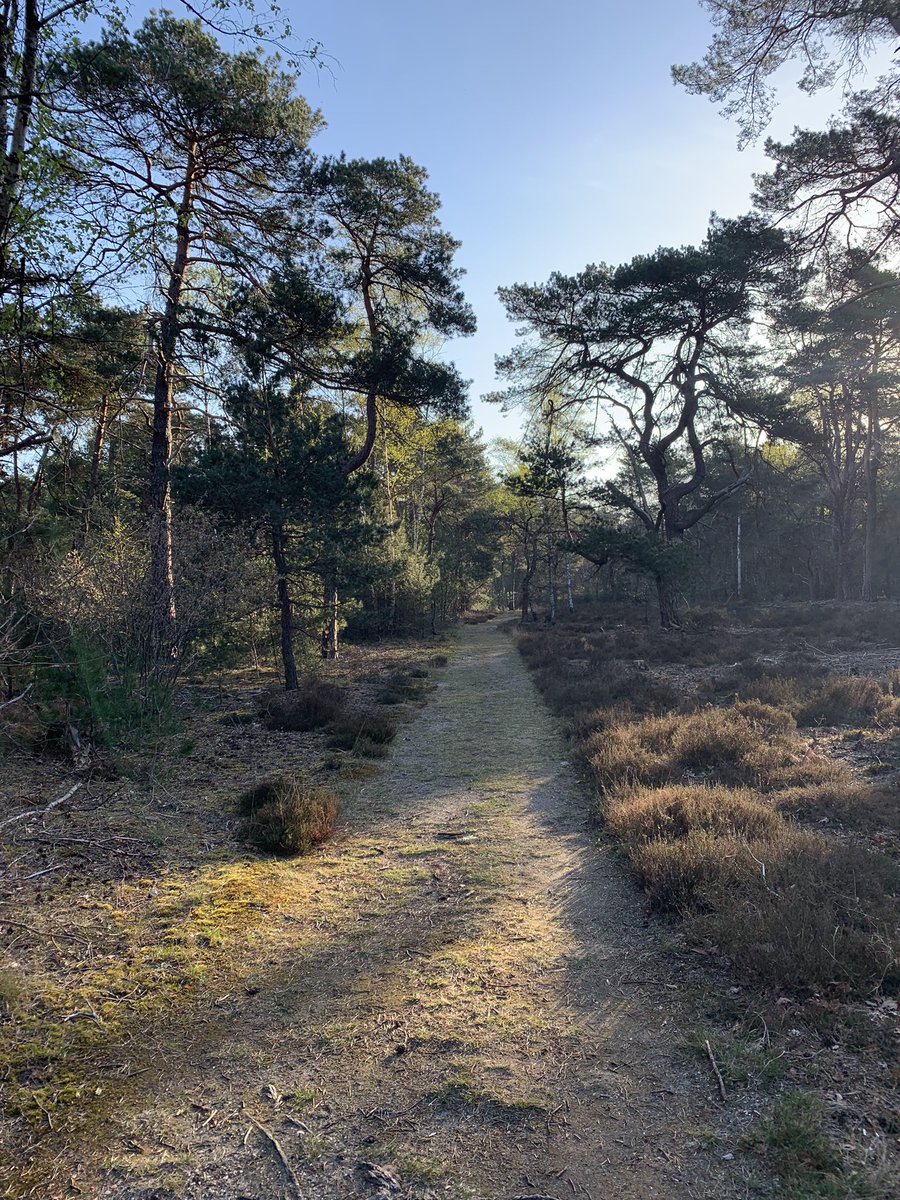 Curatorophakken's tweet photo. Ochtendwandeling voor de Grotius vervolgopleiding #insolad https://t.co/BIey5BZ1wU