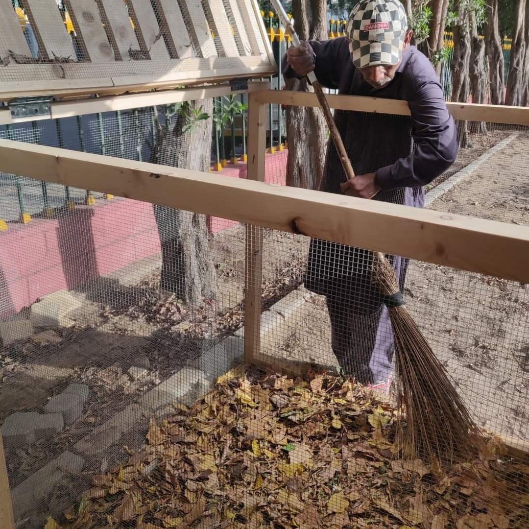 GermanyinKHI's tweet photo. • • • repost from 🌼@trashitpk • • •🌼Trashit X @GermanyinKHI🌳 Environmental Project: Aunty Park🌳2/3
What's Trashit without composting? With the help of @GermanyinKHI @trashitpk installed composting units in Aunty Park.
#compostmatters #earthlove https://t.co/hMJm1baOqI