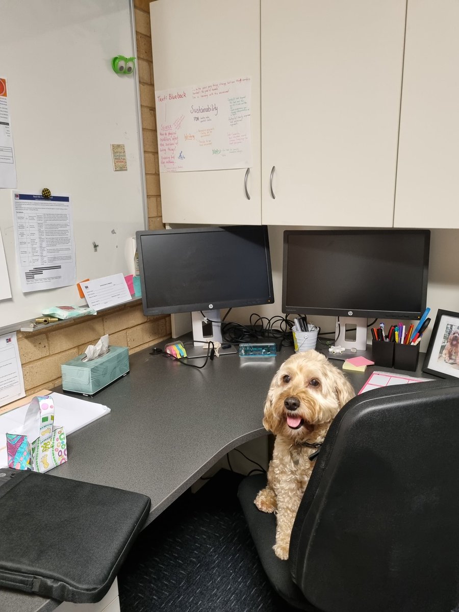 That feeling of smashing out the holiday jobs! 
✔️office swap
✔️physio for my shoulder  
✔️vaccinations
✔️planning adventures