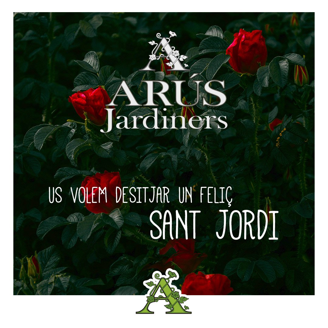 Feliç Sant Jordi!

📸 Irina Iriser <a href="/iriser_k/">Iriser</a>
