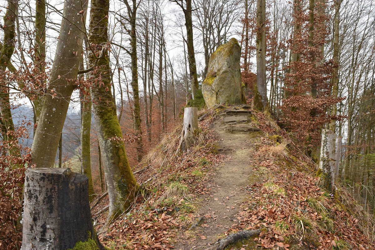 WegWandernCH's tweet photo. Geologisch faszinierende #Wanderung von #Krauchthal zu den Emmentaler #Sandstein-Monumenten 👍 und zur Burgruine #Geristein. Und: Beim #Gipfel #Bantiger 😘 geniesst man eine grandiose Aussicht! ⬇️
https://t.co/Lnz2iAB4kh
#emmental #wandernschweiz #swisshiking #swisshike #wandern https://t.co/NgjYqnveu2