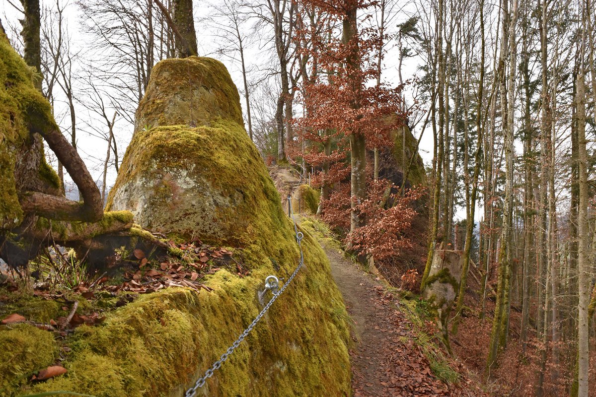 WegWandernCH's tweet photo. Geologisch faszinierende #Wanderung von #Krauchthal zu den Emmentaler #Sandstein-Monumenten 👍 und zur Burgruine #Geristein. Und: Beim #Gipfel #Bantiger 😘 geniesst man eine grandiose Aussicht! ⬇️
https://t.co/Lnz2iAB4kh
#emmental #wandernschweiz #swisshiking #swisshike #wandern https://t.co/NgjYqnveu2